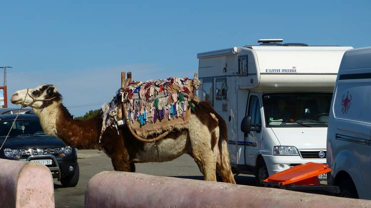 Offener Stammtisch  für Freunde der Reisemobile